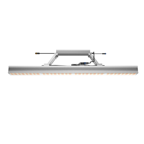 Shark-X 2600 Linear 6' Long LED Grow Light 850W, 200-277V Commercial Indoor Greenhouse