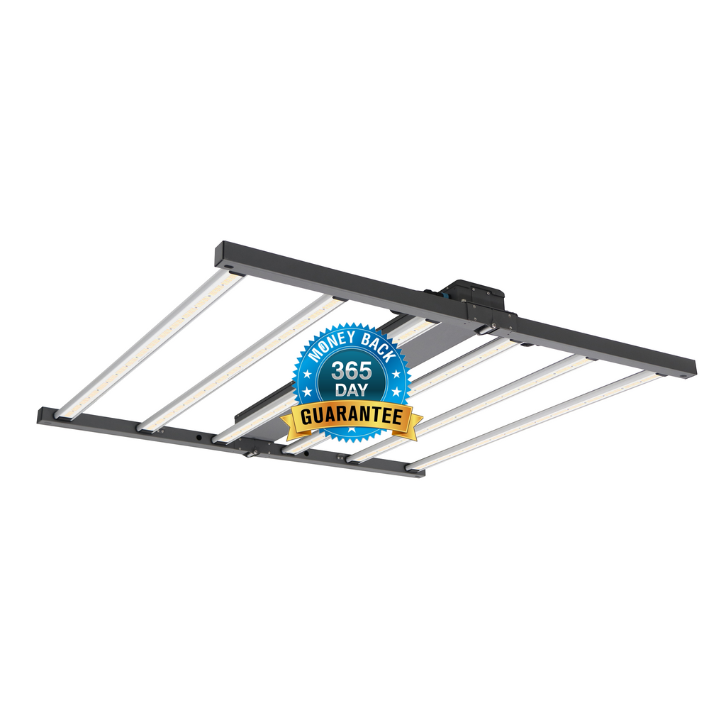 FGI Lighting – Forever Green Indoors