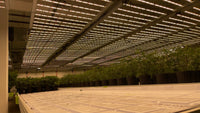 Thumbnail for Hortibest H15L 4' x 9' 1500W 200-277V Commercial Full Spectrum LED Grow Light