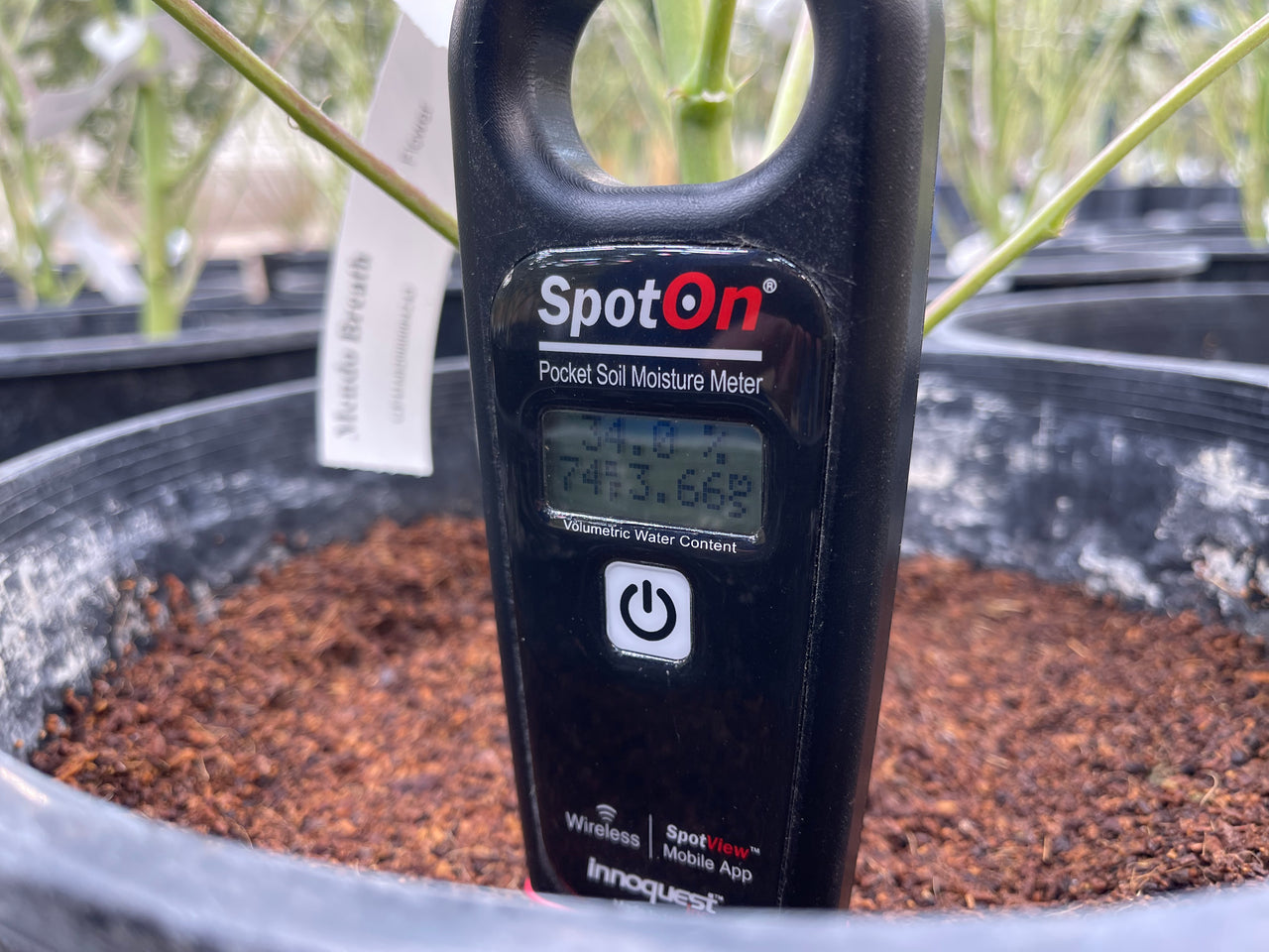 SpotOn Pocket Soil Moisture, EC and Temperature Meter with Bluetooth App Connectivity. For analyzing issues in grow medium watering and feeding.