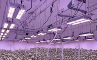 Thumbnail for Hortibest JF-700A LED Grow Light. Commercial 715W full spectrum. Osram high output diodes. 2.89 umol/j.