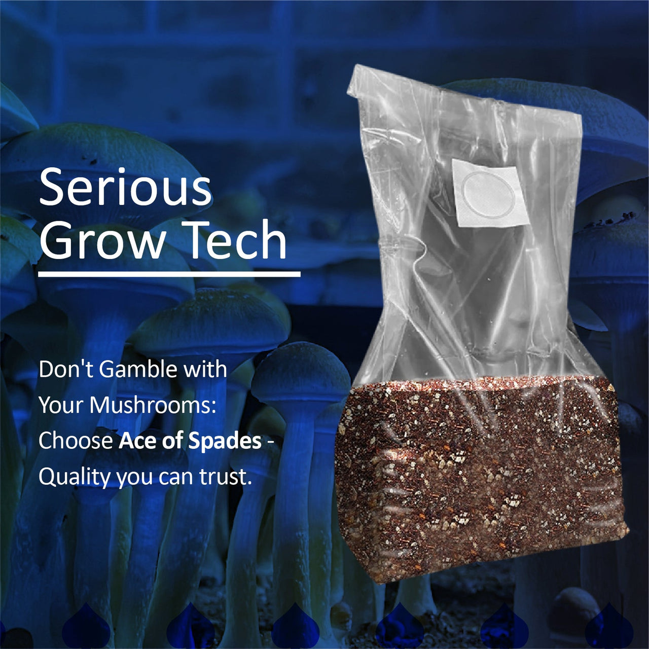 Case Pack. FGI Ace of Spades Premium Myco Grow Bags. Multi pack. 30 packs. 300 total bags. - Forever Green Indoors
