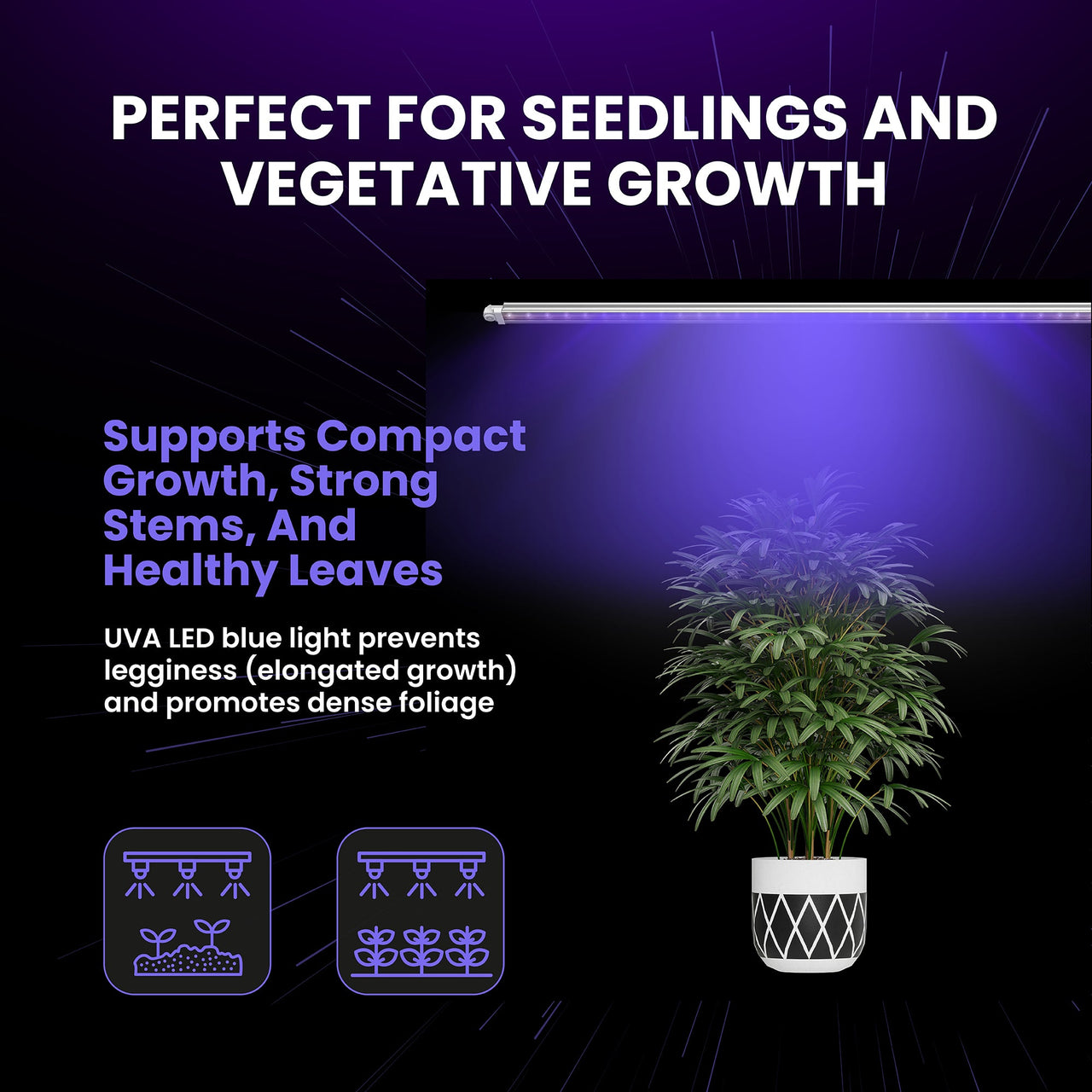 led lights good for growing plants FGI UVA LED Grow Light. 340-400nm. Premium quality. 8’ power cord