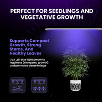 Thumbnail for FGI UVA LED Grow Light Bundle. 380nm blue spectrum. Waterproof IP - 68 44” Long. Premium quality. - Forever Green Indoors