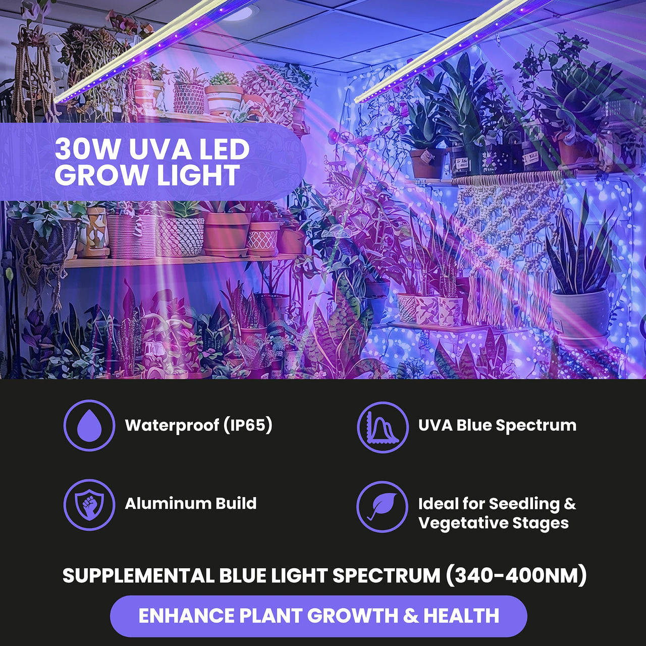 FGI UVA LED Grow Light Bundle. 380nm blue spectrum. Waterproof IP - 68 44” Long. Premium quality. - Forever Green Indoors