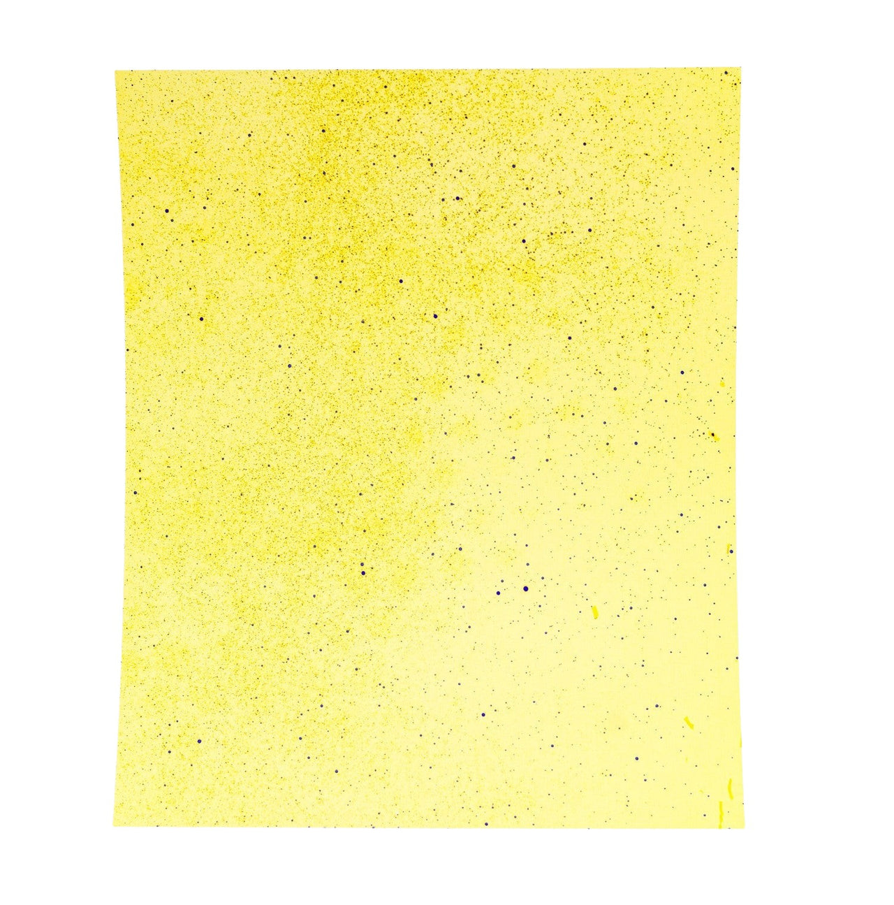 Spot-on 9.75 x 11.75 water sensitive paper