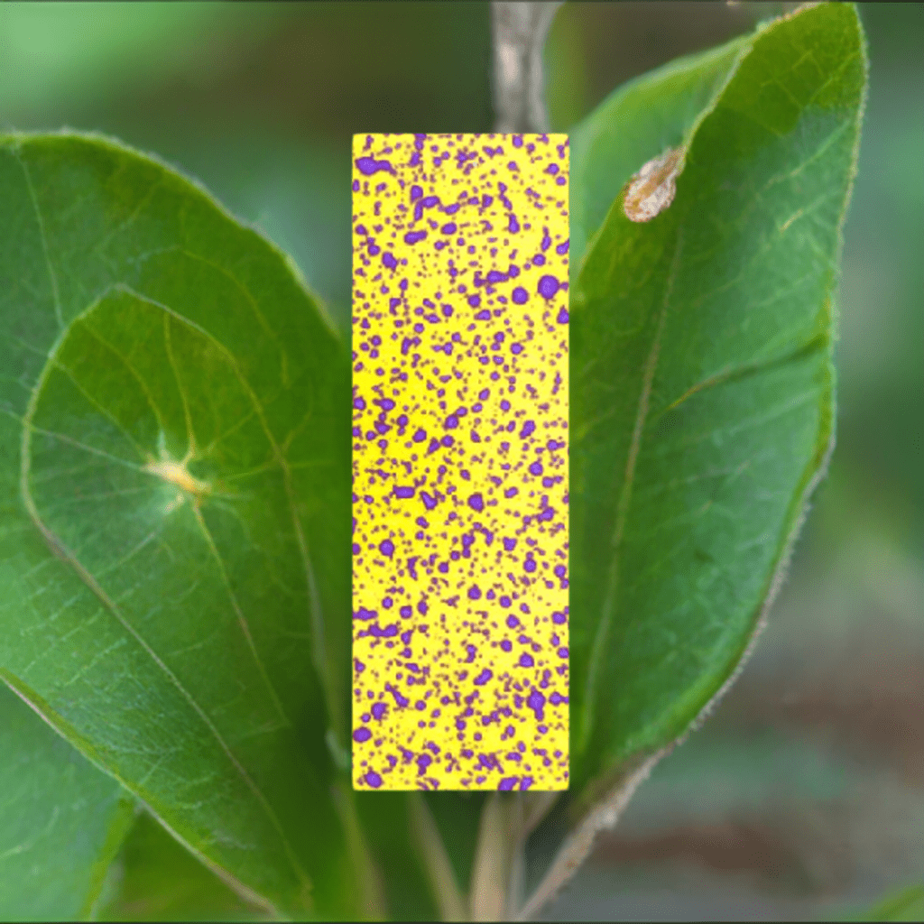 SpotOn 1"x3” Water Sensitive Paper - 50 Sheets for Sprayer Calibration | Water Sensitive Paper - Forever Green Indoors