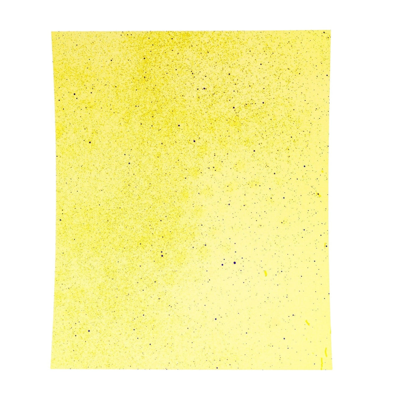 SpotOn 9”x12” Water Sensitive Paper: Sprayer Calibration 5 Sheets - Water Sensitive Paper - Forever Green Indoors