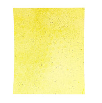 Thumbnail for SpotOn 9”x12” Water Sensitive Paper: Sprayer Calibration 5 Sheets - Water Sensitive Paper - Forever Green Indoors
