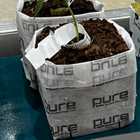 Thumbnail for PURE SUBSTRATES® MaxAir - 18 ea, 2 Gallon Grow Bags.