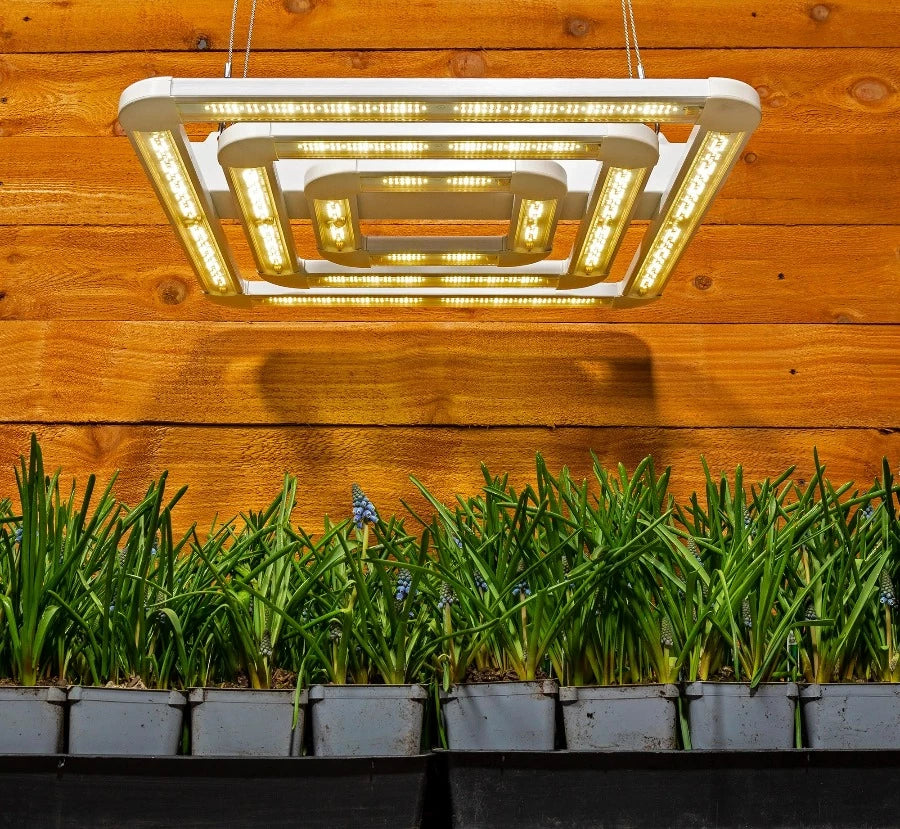 Prix ​​de vente : FGI Square 3 LED Grow Light, spectre étendu PAR 400-760 nm, gradation intégrée. Types de plantes plein soleil.