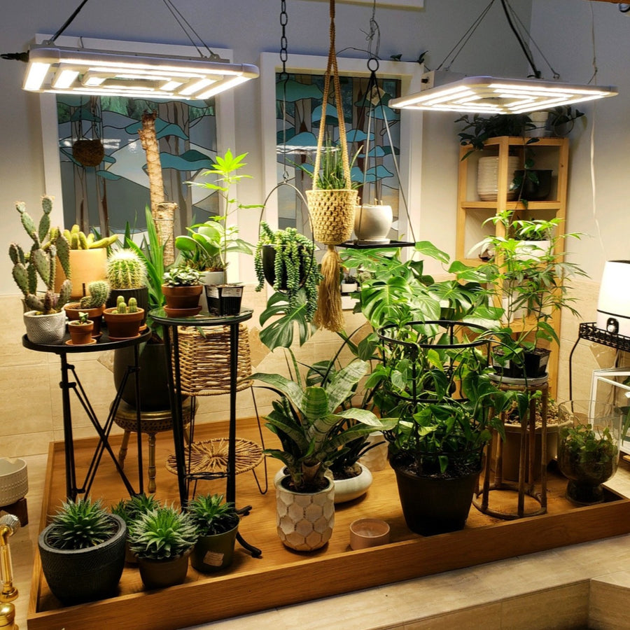 FGI Square 3 Full Spectrum LED Grow Light. Built In Dimming Plus Far Red Boost.